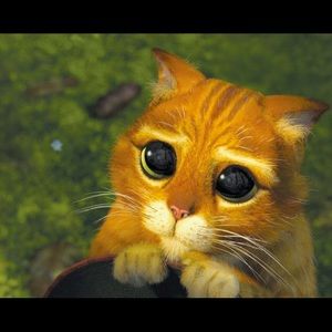 Meet your Posher, Quan